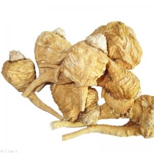 天津報關公司
