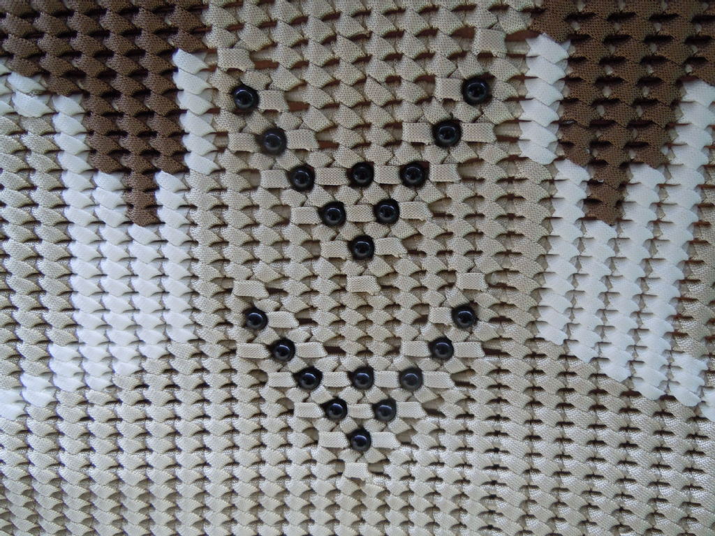DSCN3710