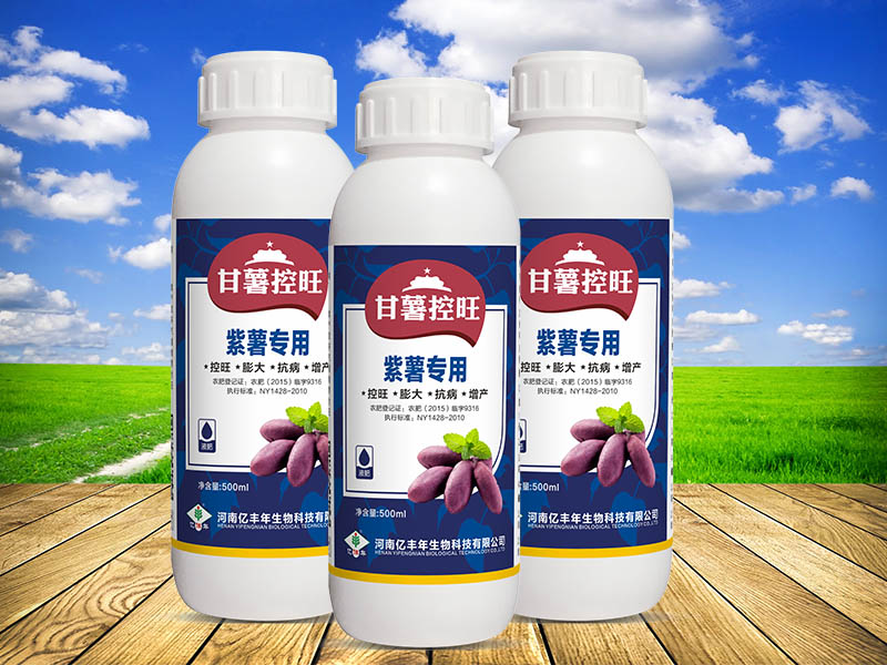 河南億豐年紫薯專用型甘薯控旺，智能化控旺.jpg