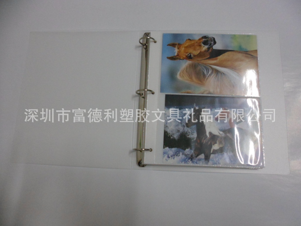 SAM_1794