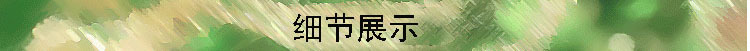 細節展示