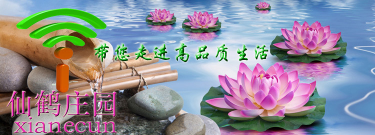 聯系我們