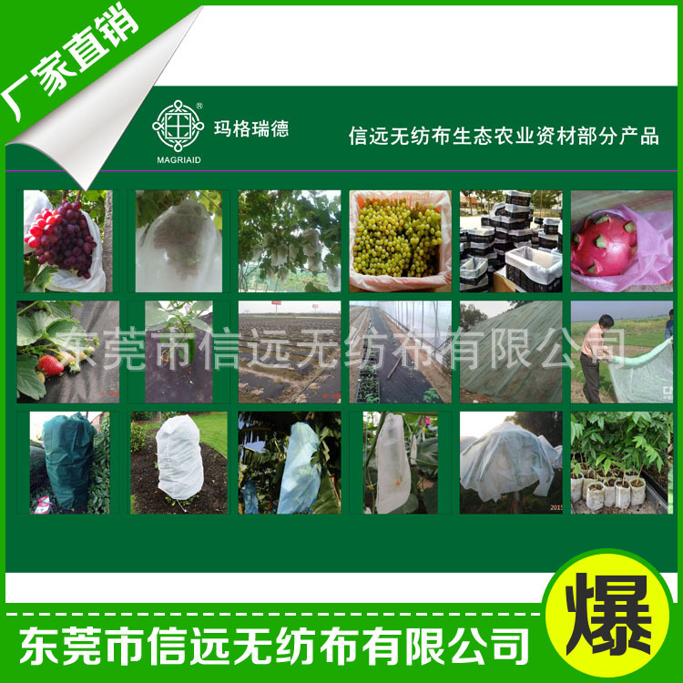 產品系列 大